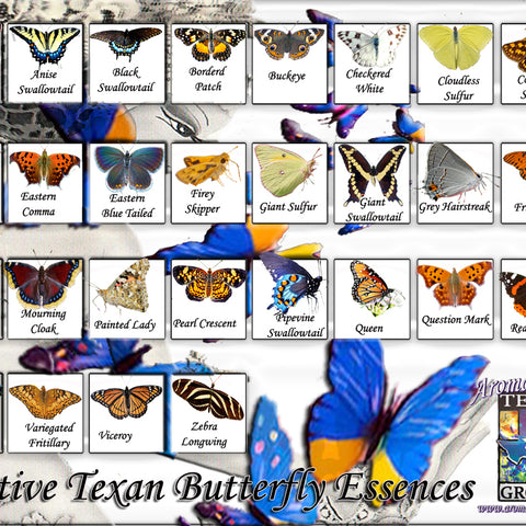 Native Texan Butterfly Essences